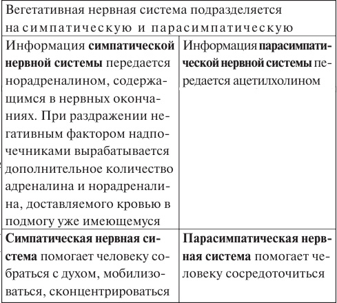 Лууле Виилма. Исцеление Светом Любви и Прощения. Большая книга избавления от болезней Лууле Виилма. Исцеление Светом Любви и Прощения. Большая книга избавления от болезней