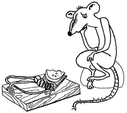 Эффективный лайф-менеджмент Эффективный лайф-менеджмент