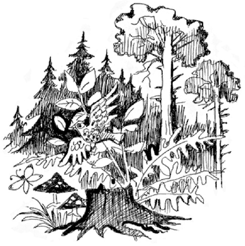 13-й карась 13-й карась
