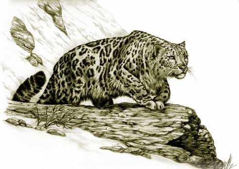 Крах тирана Крах тирана