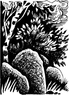 Волшебная мельница. Злая ведьма Варвара Волшебная мельница. Злая ведьма Варвара