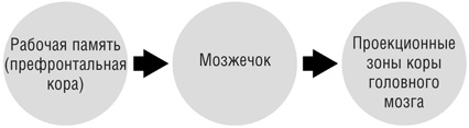Включите свою рабочую память на полную мощь Включите свою рабочую память на полную мощь