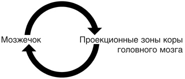 Включите свою рабочую память на полную мощь Включите свою рабочую память на полную мощь