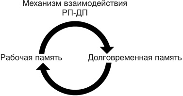 Включите свою рабочую память на полную мощь Включите свою рабочую память на полную мощь