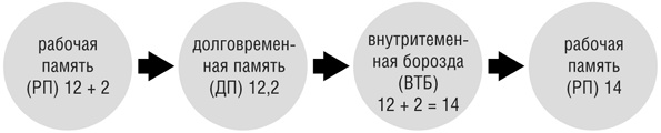 Включите свою рабочую память на полную мощь Включите свою рабочую память на полную мощь