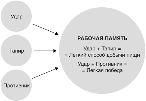 Включите свою рабочую память на полную мощь Включите свою рабочую память на полную мощь