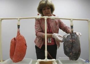 Жизнь. Инструкция по устройству, эксплуатации, ремонту и мерам безопасности Жизнь. Инструкция по устройству, эксплуатации, ремонту и мерам безопасности