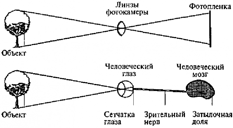 Научите себя думать Научите себя думать