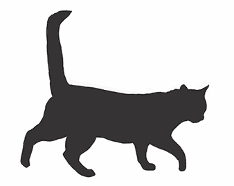 Кот Боб. Во имя любви Кот Боб. Во имя любви