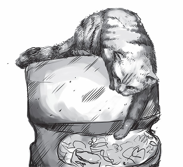 Кот Боб. Во имя любви Кот Боб. Во имя любви