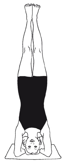 Научная йога. Демистификация Научная йога. Демистификация