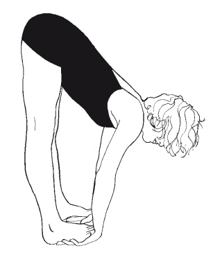 Научная йога. Демистификация Научная йога. Демистификация