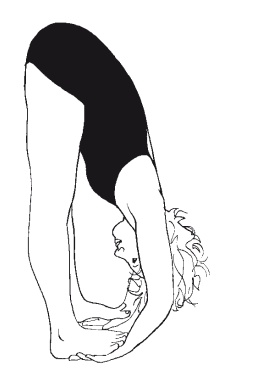 Научная йога. Демистификация Научная йога. Демистификация