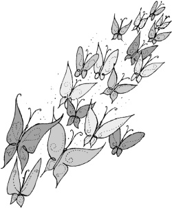 Правила звезды. Как блистать во всех сферах жизни Правила звезды. Как блистать во всех сферах жизни