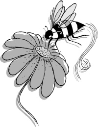 Правила звезды. Как блистать во всех сферах жизни Правила звезды. Как блистать во всех сферах жизни