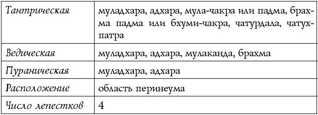 Чакры – энергии жизненных сфер. Работа с внутренним космосом Чакры – энергии жизненных сфер. Работа с внутренним космосом