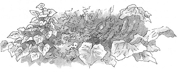 Тоби Лолнесс. Книга 2. Глаза Элизы Тоби Лолнесс. Книга 2. Глаза Элизы