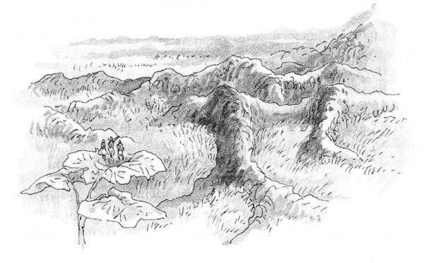 Тоби Лолнесс. Книга 2. Глаза Элизы Тоби Лолнесс. Книга 2. Глаза Элизы