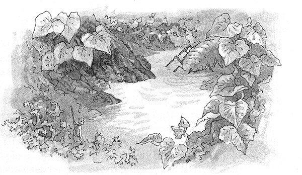 Тоби Лолнесс. Книга 2. Глаза Элизы Тоби Лолнесс. Книга 2. Глаза Элизы