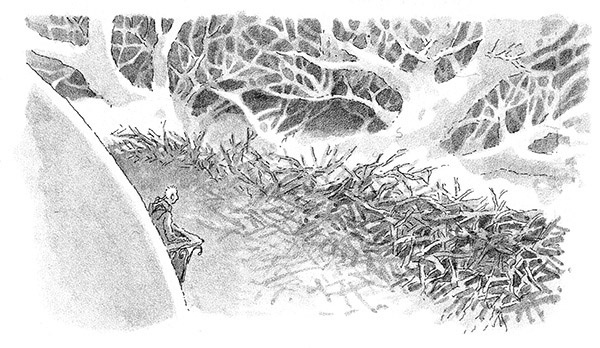 Тоби Лолнесс. Книга 2. Глаза Элизы Тоби Лолнесс. Книга 2. Глаза Элизы