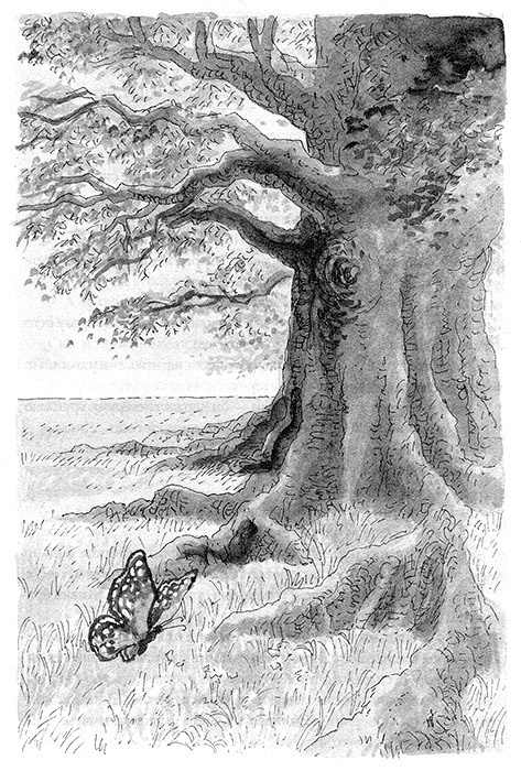 Тоби Лолнесс. Книга 2. Глаза Элизы Тоби Лолнесс. Книга 2. Глаза Элизы