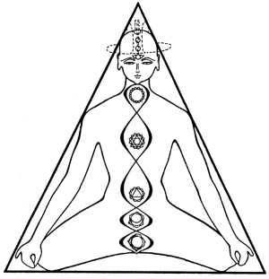 Теория и практика йоги Теория и практика йоги