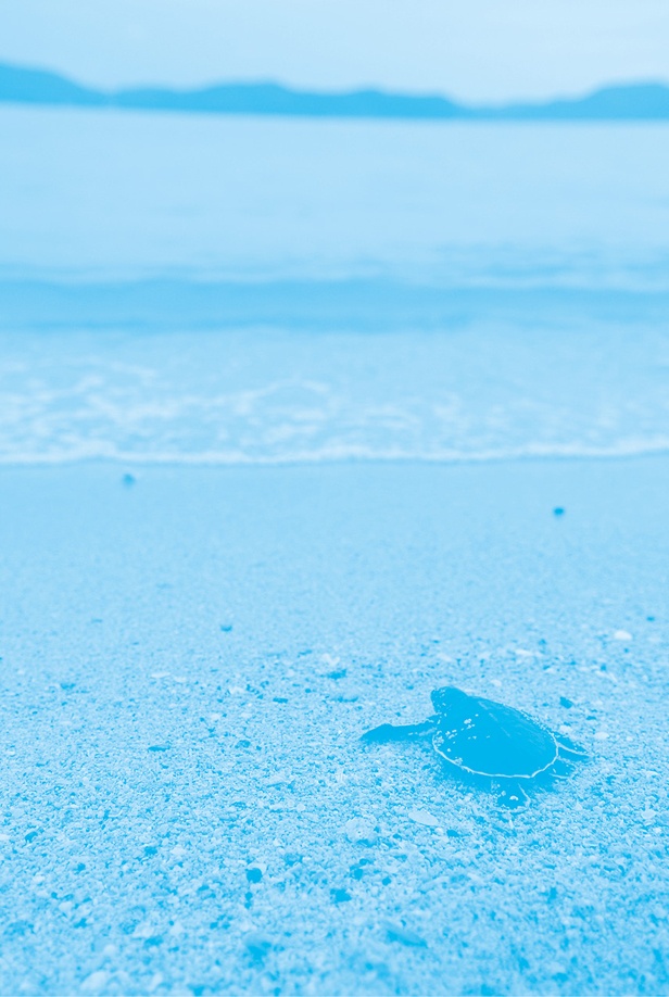 Что тебя останавливает? Что тебя останавливает?