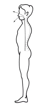 Эгрегоры человеческого мира. Логика и навыки взаимодействия Эгрегоры человеческого мира. Логика и навыки взаимодействия