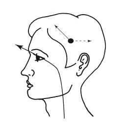 Эгрегоры человеческого мира. Логика и навыки взаимодействия Эгрегоры человеческого мира. Логика и навыки взаимодействия