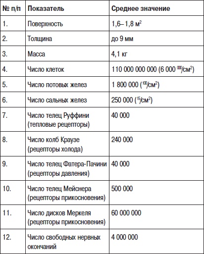 Фейслифтинг. 15 минут для молодости вашего лица Фейслифтинг. 15 минут для молодости вашего лица
