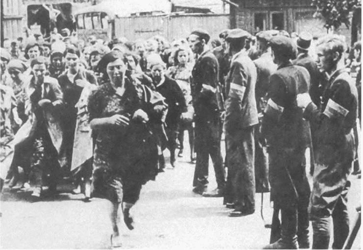 Прибалтика. Война без правил (1939-1945) Прибалтика. Война без правил (1939-1945)