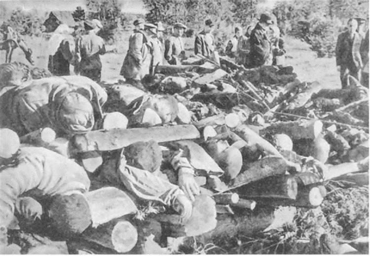Прибалтика. Война без правил (1939-1945) Прибалтика. Война без правил (1939-1945)