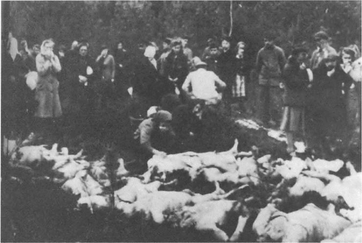 Прибалтика. Война без правил (1939-1945) Прибалтика. Война без правил (1939-1945)