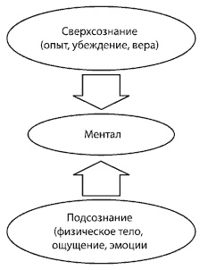 Управляем энергией мысли. Овладеваем возможностями своего Ментала Управляем энергией мысли. Овладеваем возможностями своего Ментала