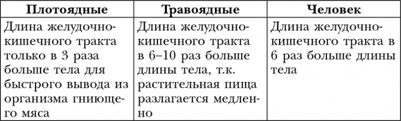 Пропуск в третье тысячелетие Пропуск в третье тысячелетие