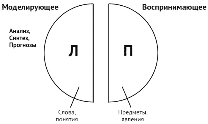 За что мне такому хорошему такая хреновая жизнь? Креативный антивирус для мозга За что мне такому хорошему такая хреновая жизнь? Креативный антивирус для мозга