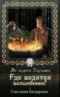 Где водятся волшебники? - Светлана Багдерина - Читать книги онлайн | Слушать аудиокниги онлайн | Электронная библиотека books-lib.com