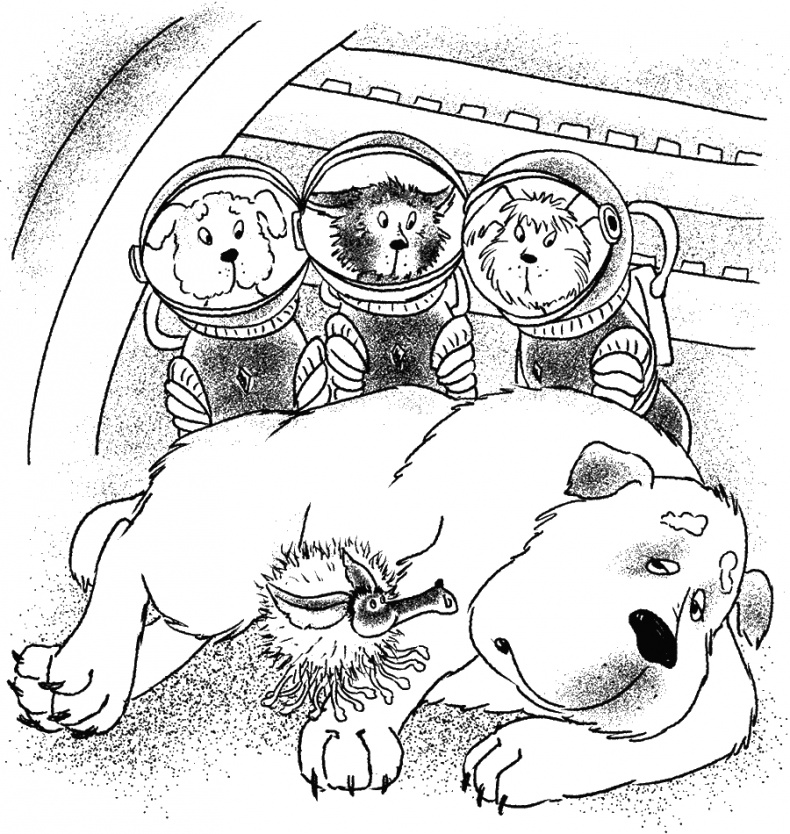 Приключения Пуха на Земле и в Космосе Приключения Пуха на Земле и в Космосе