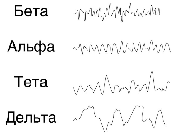 Тайны бессмертия Тайны бессмертия