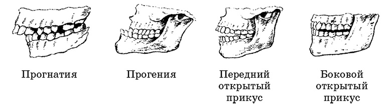 Возрастная анатомия и физиология. Основы профилактики и коррекции нарушений в развитии детей Возрастная анатомия и физиология. Основы профилактики и коррекции нарушений в развитии детей