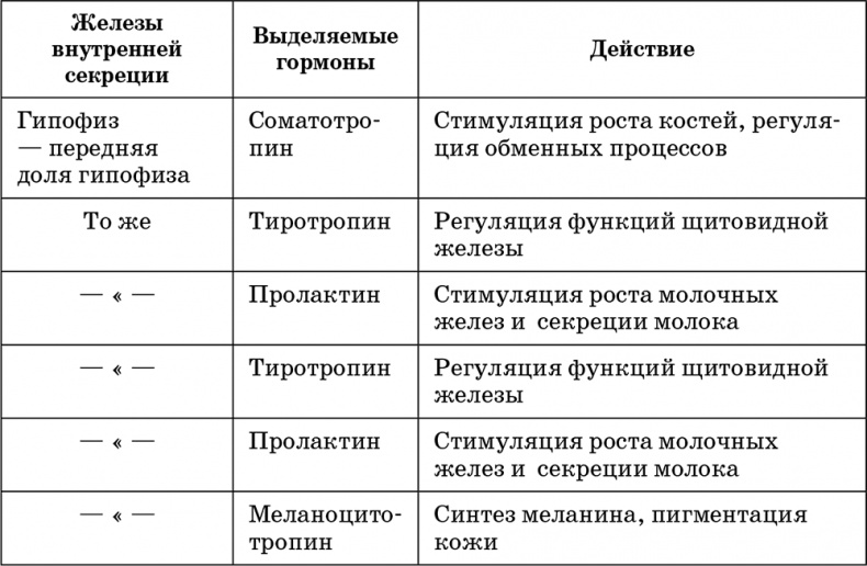 Возрастная анатомия и физиология. Основы профилактики и коррекции нарушений в развитии детей Возрастная анатомия и физиология. Основы профилактики и коррекции нарушений в развитии детей