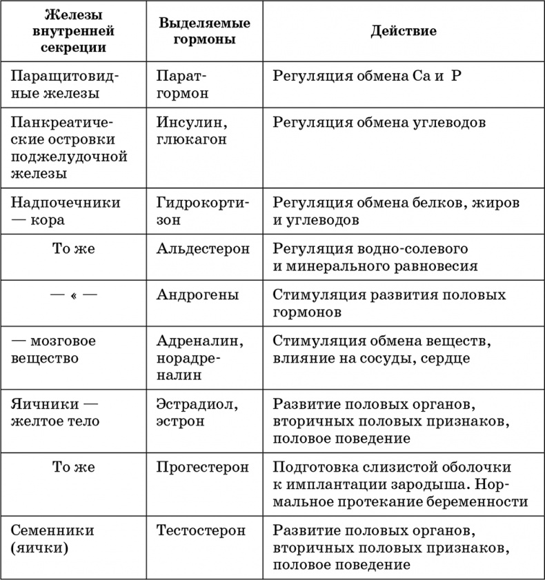 Возрастная анатомия и физиология. Основы профилактики и коррекции нарушений в развитии детей Возрастная анатомия и физиология. Основы профилактики и коррекции нарушений в развитии детей