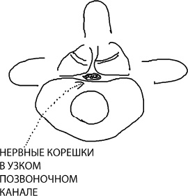 Большая книга упражнений для спины. Комплекс "Умный позвоночник" Большая книга упражнений для спины. Комплекс "Умный позвоночник"