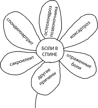 Большая книга упражнений для спины. Комплекс "Умный позвоночник" Большая книга упражнений для спины. Комплекс "Умный позвоночник"