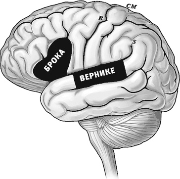 Век самопознания. Поиски бессознательного в искусстве и науке с начала XX века до наших дней Век самопознания. Поиски бессознательного в искусстве и науке с начала XX века до наших дней