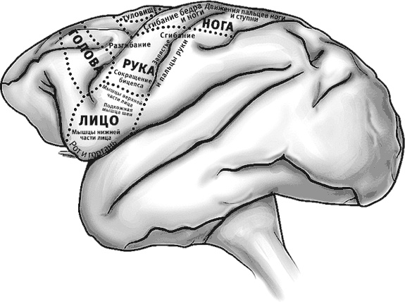 Век самопознания. Поиски бессознательного в искусстве и науке с начала XX века до наших дней Век самопознания. Поиски бессознательного в искусстве и науке с начала XX века до наших дней