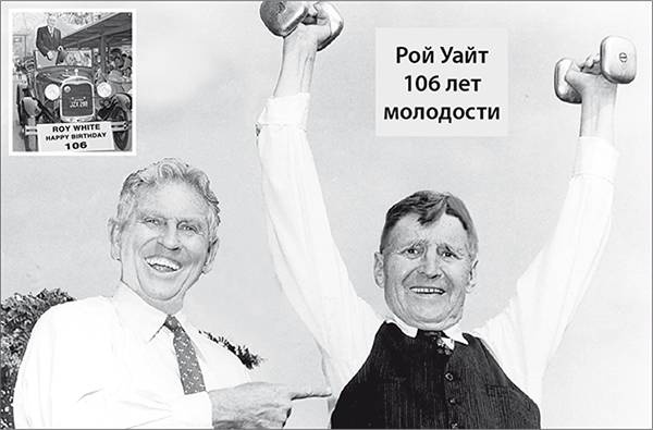 Здоровая нервная система Здоровая нервная система