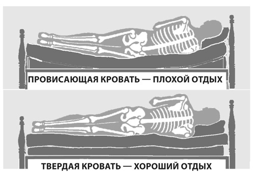 Здоровая нервная система Здоровая нервная система