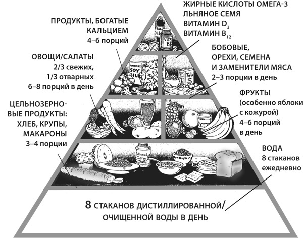 Здоровая нервная система Здоровая нервная система