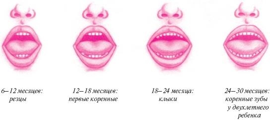 Ваш малыш от рождения до двух лет Ваш малыш от рождения до двух лет